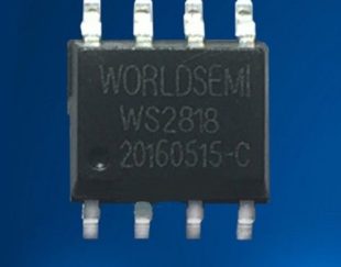 Ws2818