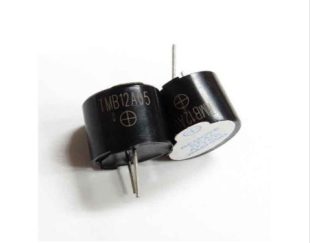 بازر 5 ولتی TMP